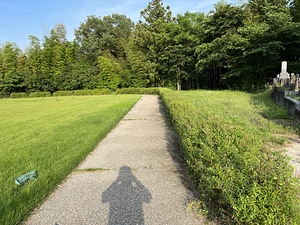 綺麗になりました😅