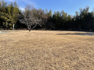 急いで片付けて終了