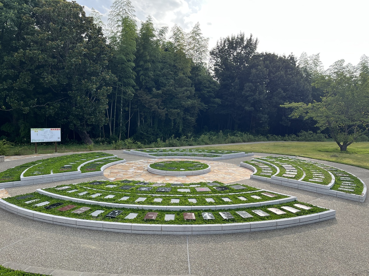 頑張ってるよ🌱