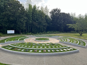 頑張ってるよ🌱